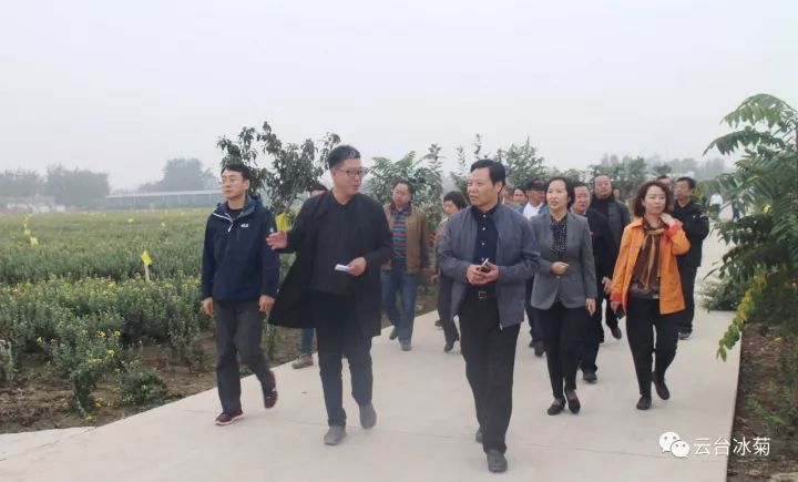 云臺冰菊基地發(fā)生了什么？一批批領(lǐng)導(dǎo)專家團(tuán)隊(duì)前來！