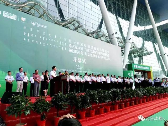 云臺冰菊走進(jìn)綠博會(huì)