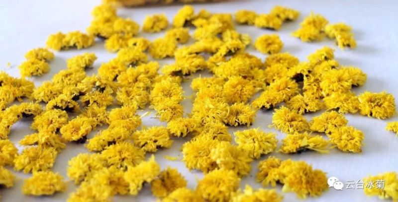 2018，種下希望，靜待花開！