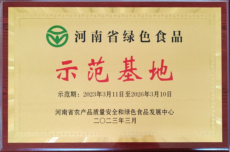 榮譽(yù)證書(shū)